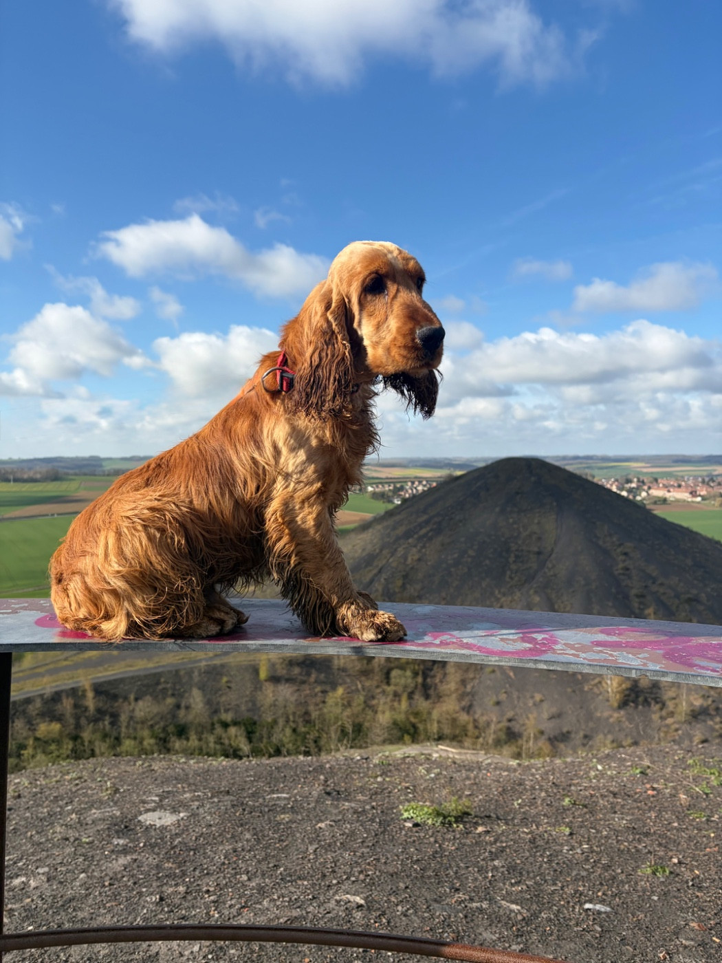 Athos du chemin des cavaliers