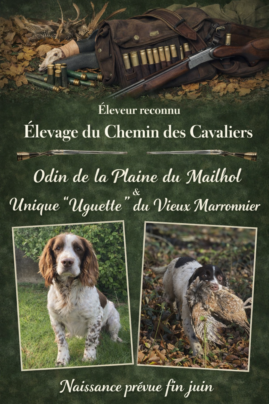 Naissance prévue