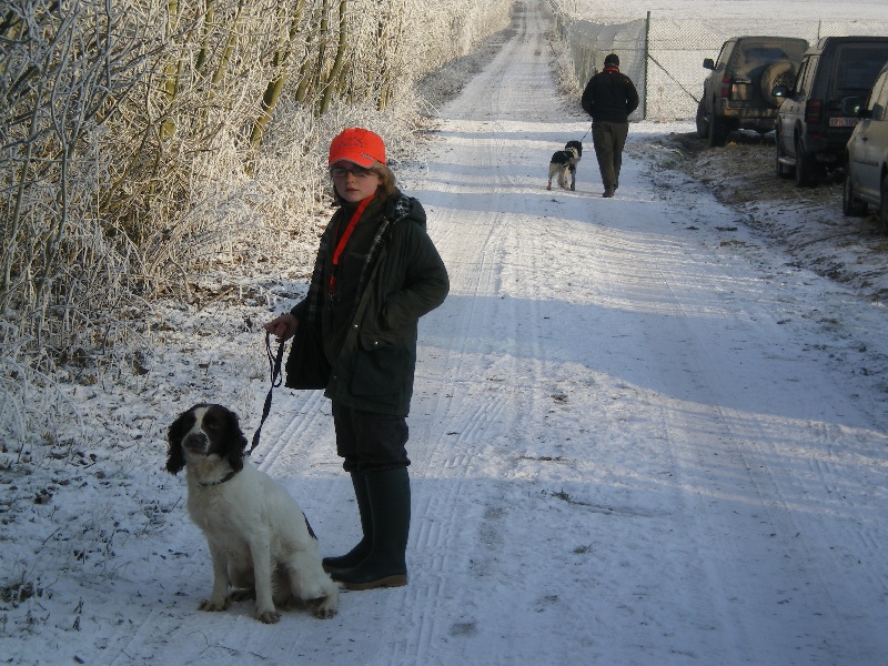 field trial