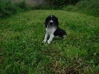 Oscar